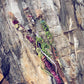 magick // willow or applewood branch crystal electroformed wands by Peacock and Lime