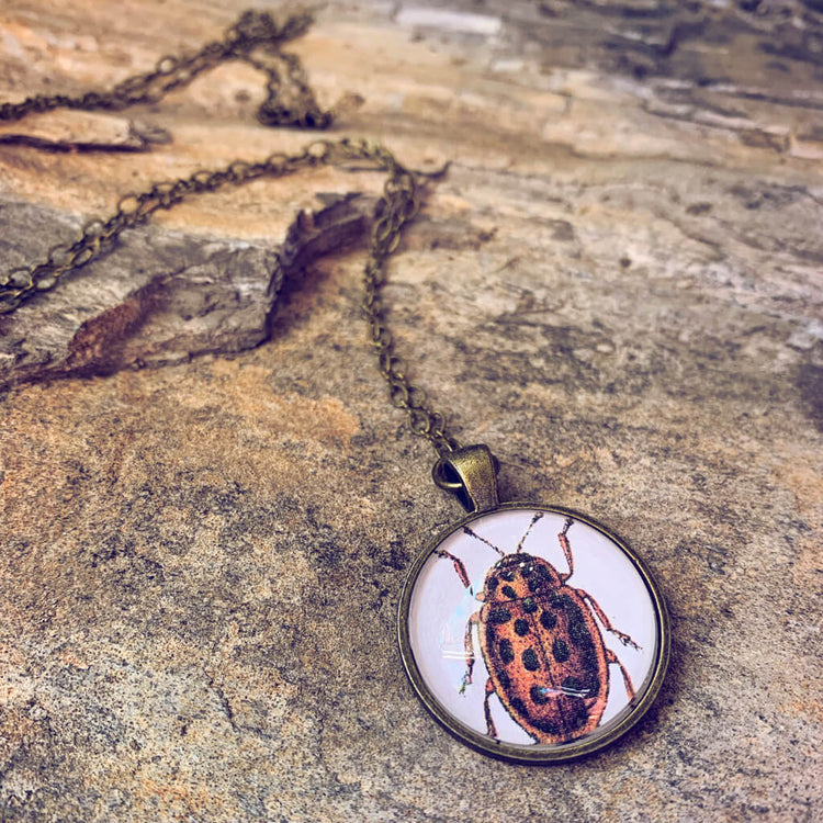 insecta // lady bug pendant necklace - Peacock & Lime